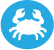 Contains shellfish Contains shellfish